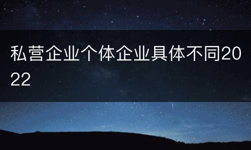 私营企业个体企业具体不同2022