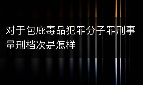 对于包庇毒品犯罪分子罪刑事量刑档次是怎样