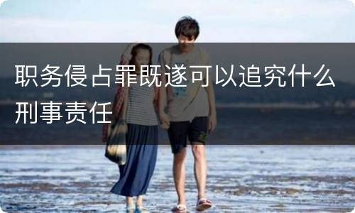 职务侵占罪既遂可以追究什么刑事责任