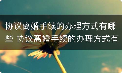 协议离婚手续的办理方式有哪些 协议离婚手续的办理方式有哪些种类