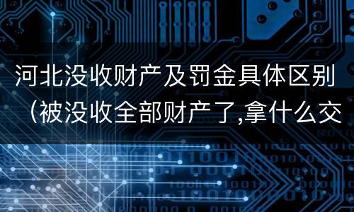 河北没收财产及罚金具体区别（被没收全部财产了,拿什么交罚金）