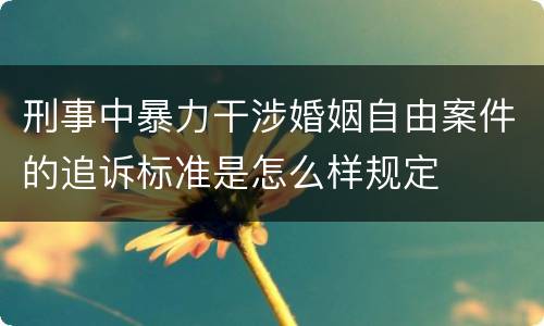 刑事中暴力干涉婚姻自由案件的追诉标准是怎么样规定
