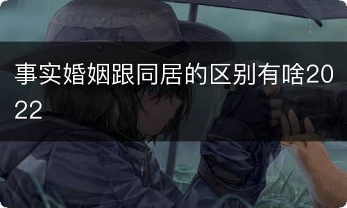 事实婚姻跟同居的区别有啥2022