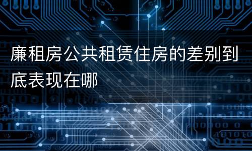廉租房公共租赁住房的差别到底表现在哪
