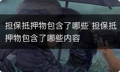 担保抵押物包含了哪些 担保抵押物包含了哪些内容