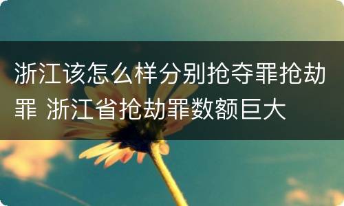 浙江该怎么样分别抢夺罪抢劫罪 浙江省抢劫罪数额巨大
