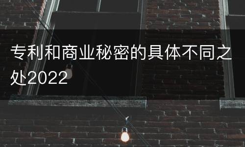 专利和商业秘密的具体不同之处2022