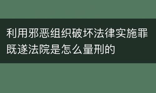 利用邪恶组织破坏法律实施罪既遂法院是怎么量刑的