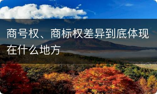 商号权、商标权差异到底体现在什么地方