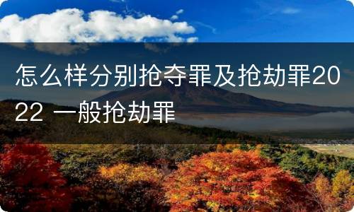 怎么样分别抢夺罪及抢劫罪2022 一般抢劫罪