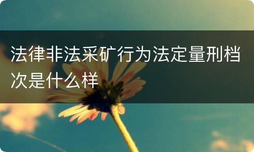 法律非法采矿行为法定量刑档次是什么样