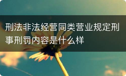 刑法非法经营同类营业规定刑事刑罚内容是什么样