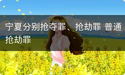 宁夏分别抢夺罪、抢劫罪 普通抢劫罪
