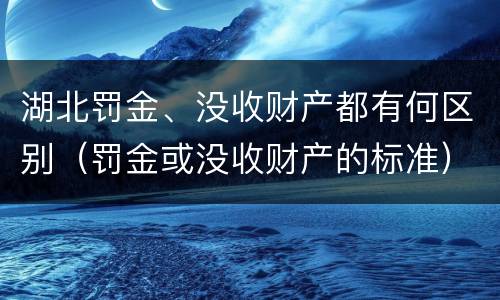 湖北罚金、没收财产都有何区别（罚金或没收财产的标准）