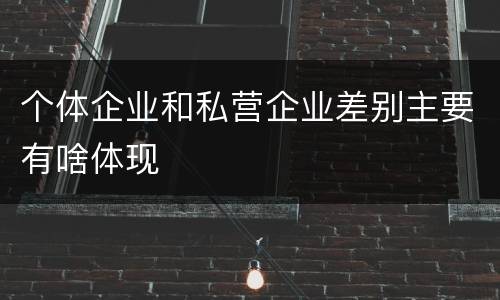 个体企业和私营企业差别主要有啥体现