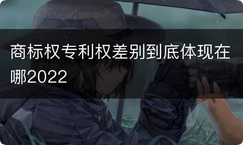 商标权专利权差别到底体现在哪2022