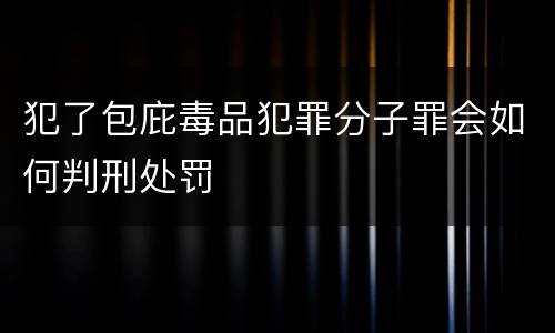 犯了包庇毒品犯罪分子罪会如何判刑处罚