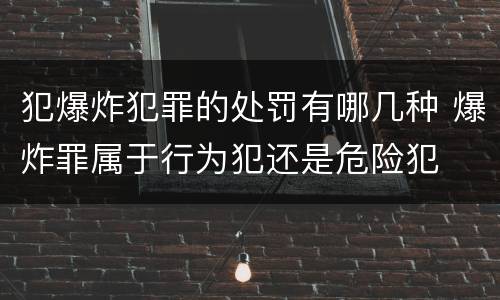 犯爆炸犯罪的处罚有哪几种 爆炸罪属于行为犯还是危险犯