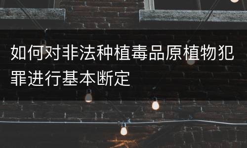 如何对非法种植毒品原植物犯罪进行基本断定