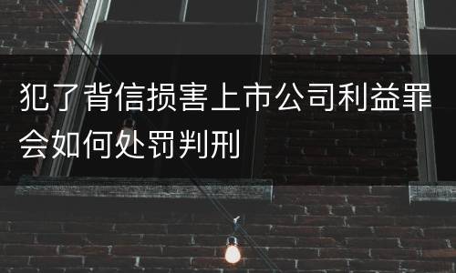 犯了背信损害上市公司利益罪会如何处罚判刑