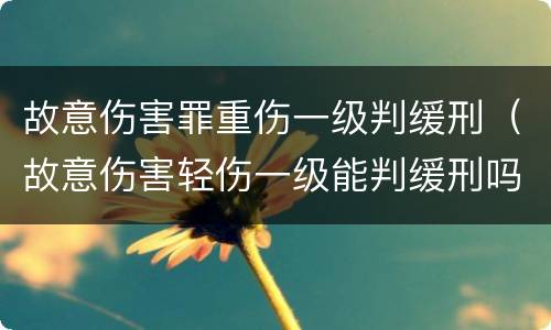 故意伤害罪重伤一级判缓刑（故意伤害轻伤一级能判缓刑吗）