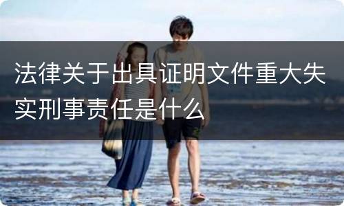 法律关于出具证明文件重大失实刑事责任是什么
