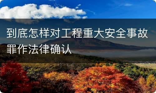 到底怎样对工程重大安全事故罪作法律确认