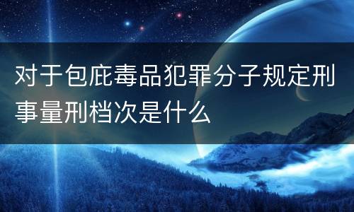 对于包庇毒品犯罪分子规定刑事量刑档次是什么