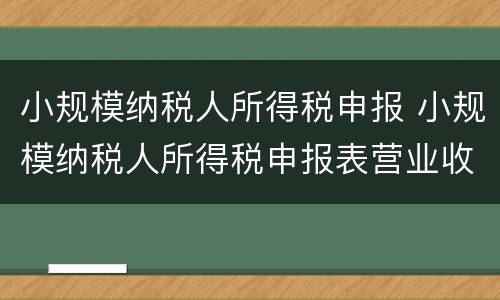 小规模纳税人所得税申报 小规模纳税人所得税申报表营业收入