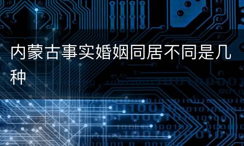 内蒙古事实婚姻同居不同是几种