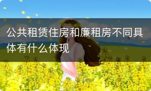公共租赁住房和廉租房不同具体有什么体现