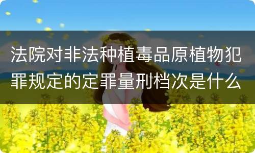 法院对非法种植毒品原植物犯罪规定的定罪量刑档次是什么样的
