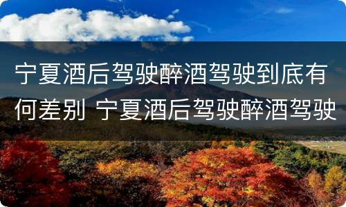 宁夏酒后驾驶醉酒驾驶到底有何差别 宁夏酒后驾驶醉酒驾驶到底有何差别呢