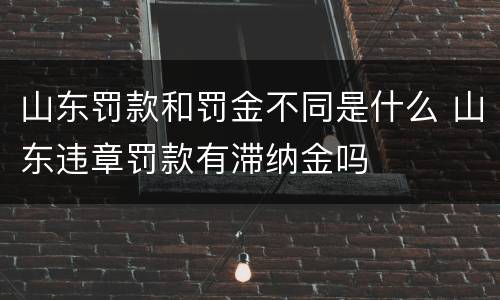 山东罚款和罚金不同是什么 山东违章罚款有滞纳金吗