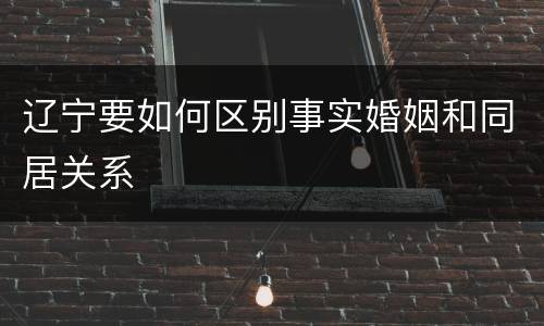 辽宁要如何区别事实婚姻和同居关系