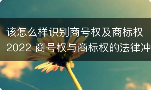 该怎么样识别商号权及商标权2022 商号权与商标权的法律冲突与解决