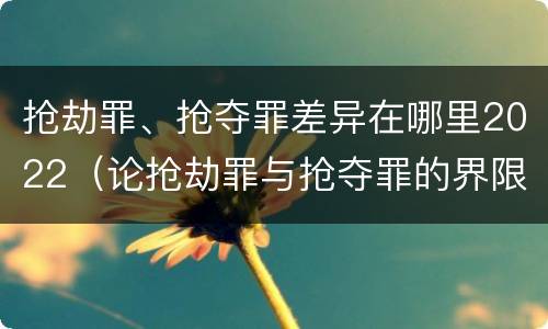 抢劫罪、抢夺罪差异在哪里2022（论抢劫罪与抢夺罪的界限）