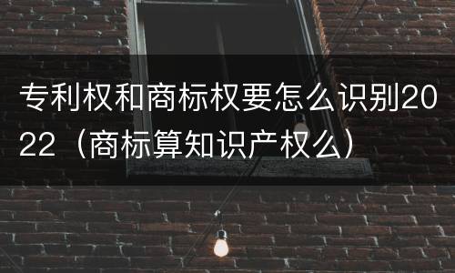 专利权和商标权要怎么识别2022（商标算知识产权么）
