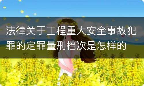 法律关于工程重大安全事故犯罪的定罪量刑档次是怎样的