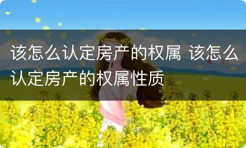 该怎么认定房产的权属 该怎么认定房产的权属性质