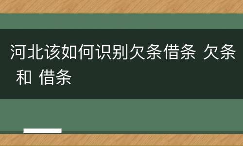 河北该如何识别欠条借条 欠条 和 借条