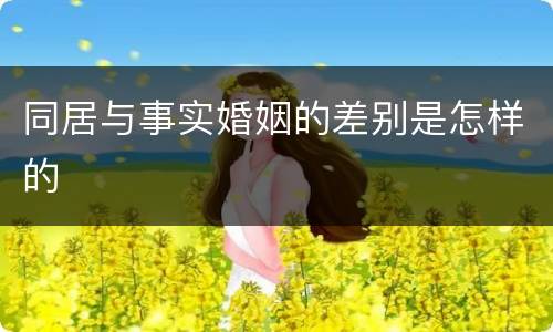 同居与事实婚姻的差别是怎样的