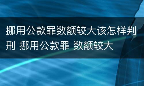 挪用公款罪数额较大该怎样判刑 挪用公款罪 数额较大