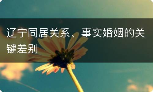 辽宁同居关系、事实婚姻的关键差别