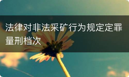 法律对非法采矿行为规定定罪量刑档次