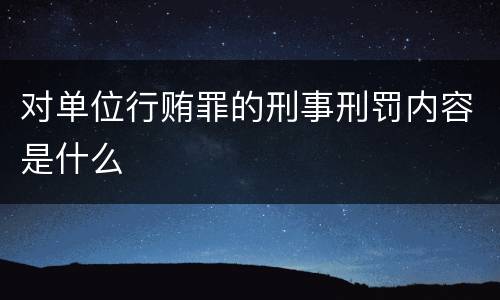 对单位行贿罪的刑事刑罚内容是什么