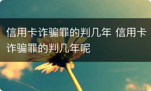信用卡诈骗罪的判几年 信用卡诈骗罪的判几年呢