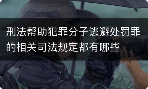 刑法帮助犯罪分子逃避处罚罪的相关司法规定都有哪些