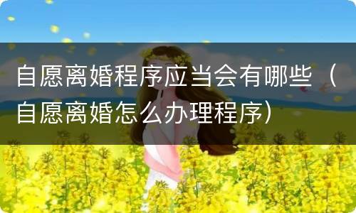 自愿离婚程序应当会有哪些（自愿离婚怎么办理程序）