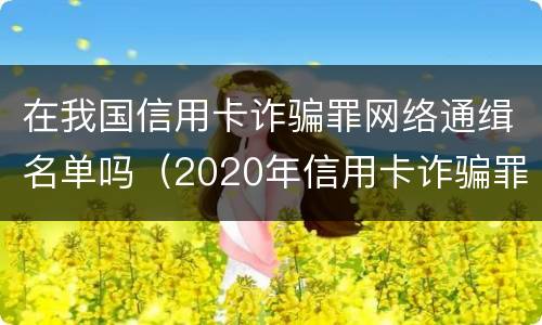在我国信用卡诈骗罪网络通缉名单吗（2020年信用卡诈骗罪）